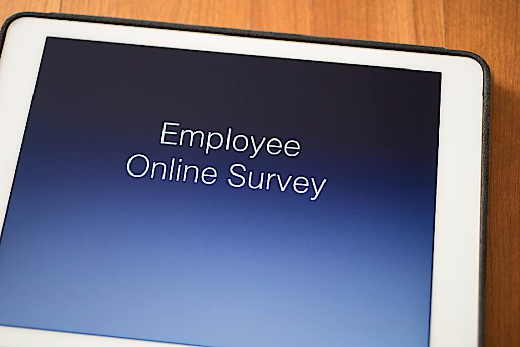 employee survey Pivotal HR Solutions Blog