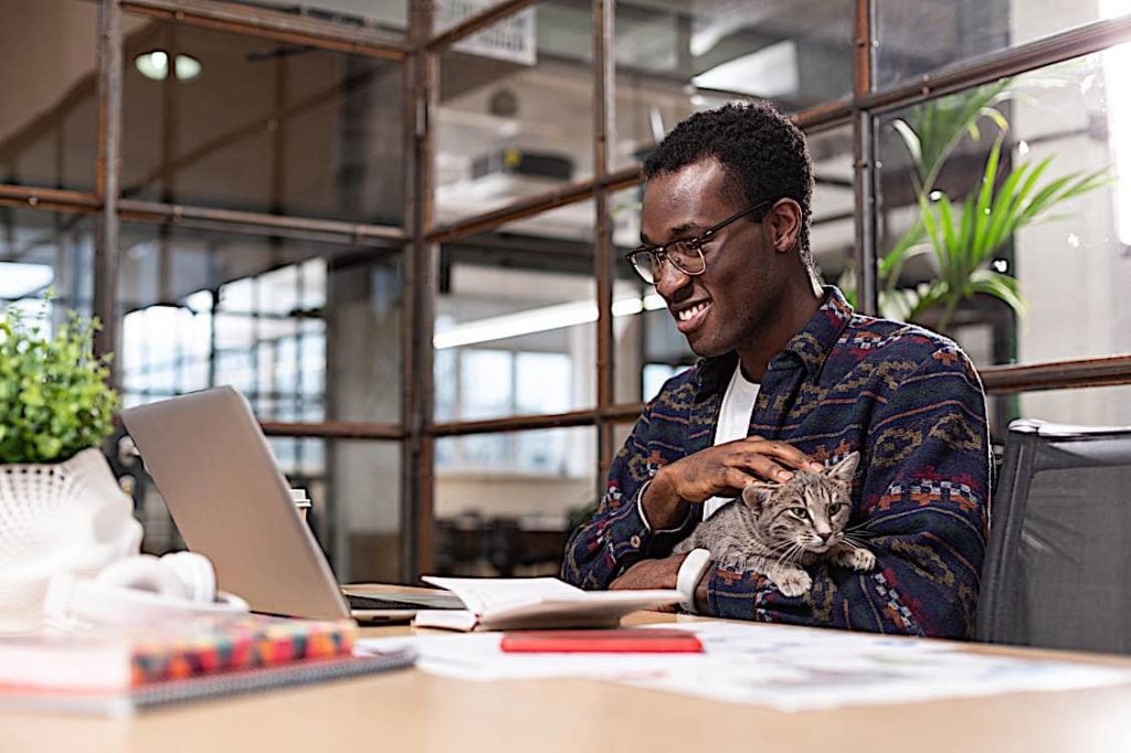 Pet Perks: How important are they? Data indicates it is very important in competitive employment market 4 Cat friendly workplace Pivotal HR Solutions Blog