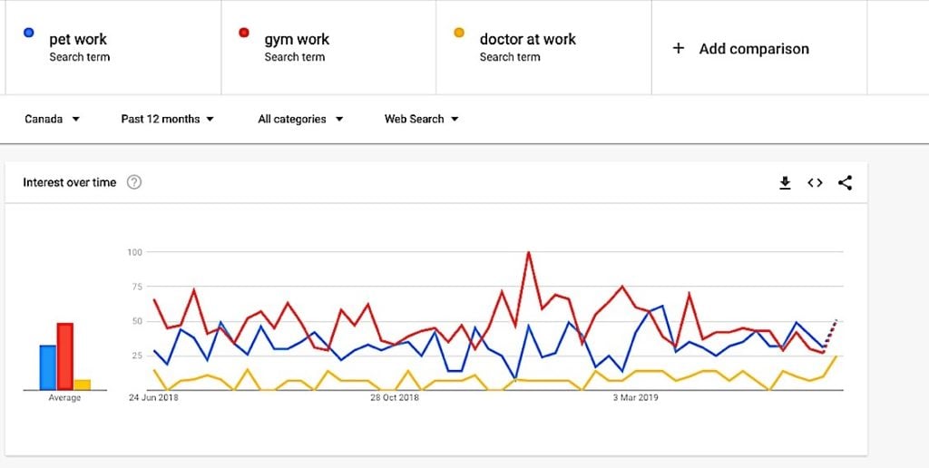 What are job seekers looking for? Work culture dominates trends: important insights for recruiters 7 Niche benefits Canada Google Trend Pivotal HR Solutions Blog
