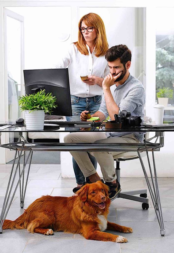 Pet Perks: How important are they? Data indicates it is very important in competitive employment market 8 Pet friendly workplace Pivotal HR Solutions Blog
